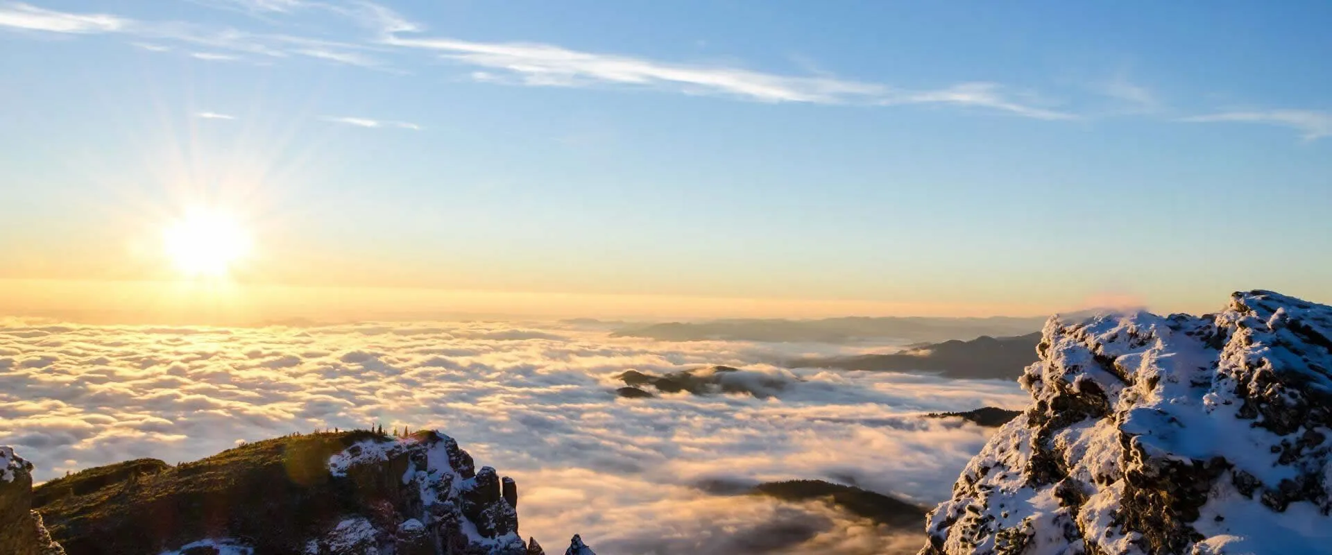 Superior resources, exacting quality oversight.