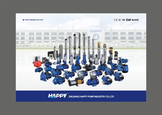 Solar Pump High Pressure Water Pump for Irrigation