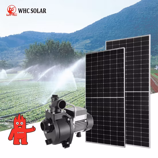 New DC Submersible Solar Water Pump with MPPT Controller, 24V, 36V, 48V, 72V Solar Pump
