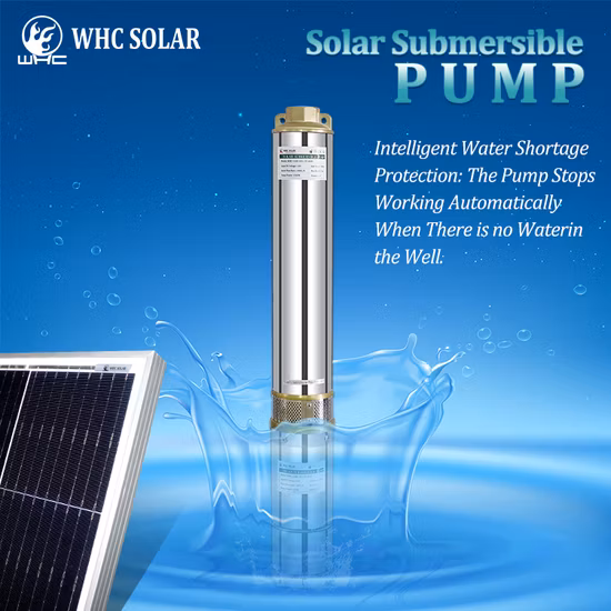 AC/DC Hybrid Submersible Solar Borehole Deep Well Water Pumps with MPPT Controller Powerful Brass Stainless Steel Solar Power Farm Irrigation High Head DC Pump