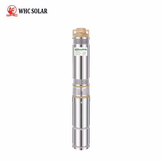 Mastra 3 Inch 4 Inch Stainless Steel DC Solar Power Submersible Screw Impeller Borehole Pumps with Control Box Deep Well Solar Water Pump