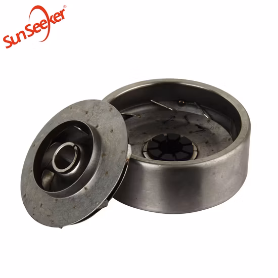 Top Quality DC&AC Compatible Submersible Solar Pump with MPPT Controller (3 Years Warranty)