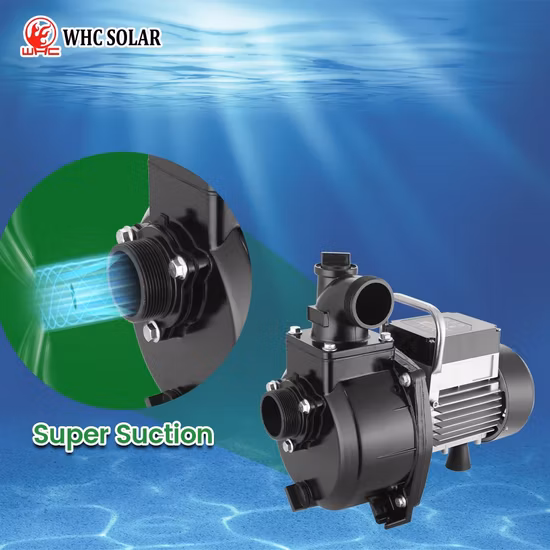 1.25 Inch 4 Inch DC Submersible Deep Well Solar Water Pump AC